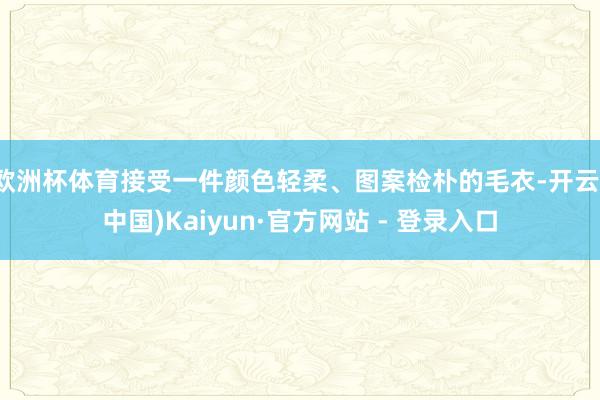 欧洲杯体育接受一件颜色轻柔、图案检朴的毛衣-开云(中国)Kaiyun·官方网站 - 登录入口