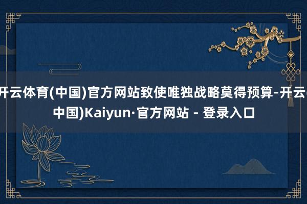 开云体育(中国)官方网站致使唯独战略莫得预算-开云(中国)Kaiyun·官方网站 - 登录入口