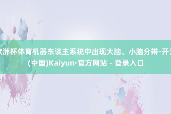 欧洲杯体育机器东谈主系统中出现大脑、小脑分辩-开云(中国)Kaiyun·官方网站 - 登录入口